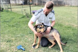 Man rapes dog, owner seek dog protection from culprit -dailyfamily.ng