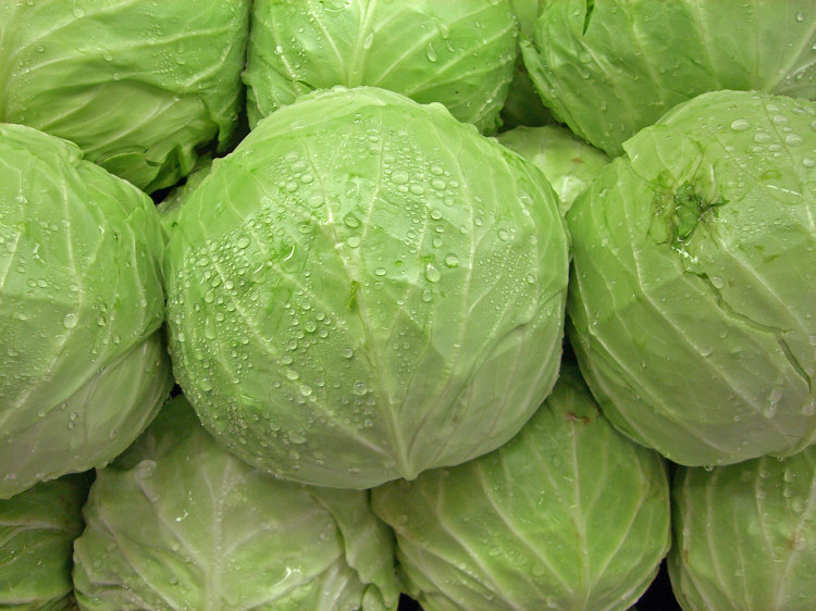 9-benefits-that-will-convince-you-to-put-more-cabbage-in-your-diet-dailyfamily.ng