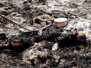 Mentally deranged woman with human parts set ablaze