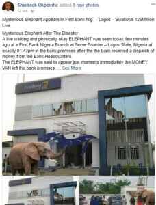 Strange Elephant Escapes with N125 million from First Bank (Photos).dailyfamily.ng