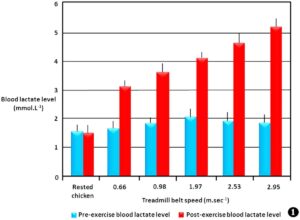 See Shocking Things Nigerians Do to Increase Blood Level.dailyfamily.ng