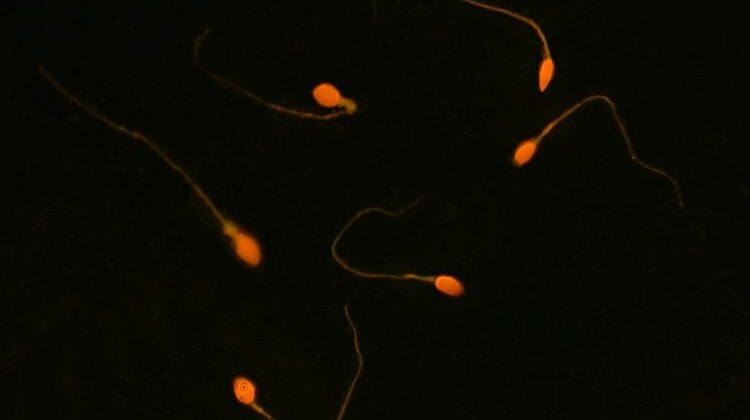 Man Divorces Wife With 9 Children After Finding Out This....shocking revelation.