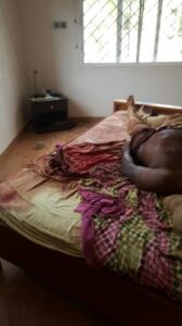 See Shocking Reason Female Lawyer Severed Husband's Genital-dailyfamily.ng