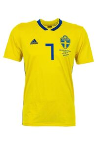 world cup jersey-dailyfamily.ng