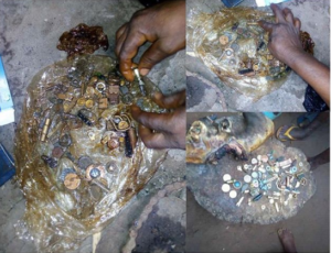 Strange: Wedding Rings, Coins Wristwatches Found in Goat's Intestine-dailyfamily.ng