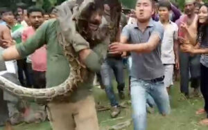 Selfie with Python Almost Turns Sour as Man Escapes Death (Photos & Video)-dailyfamily.ng