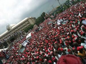 Crowd Gather As Kwankwaso Declares For Presidency4.dailyfamily.ng